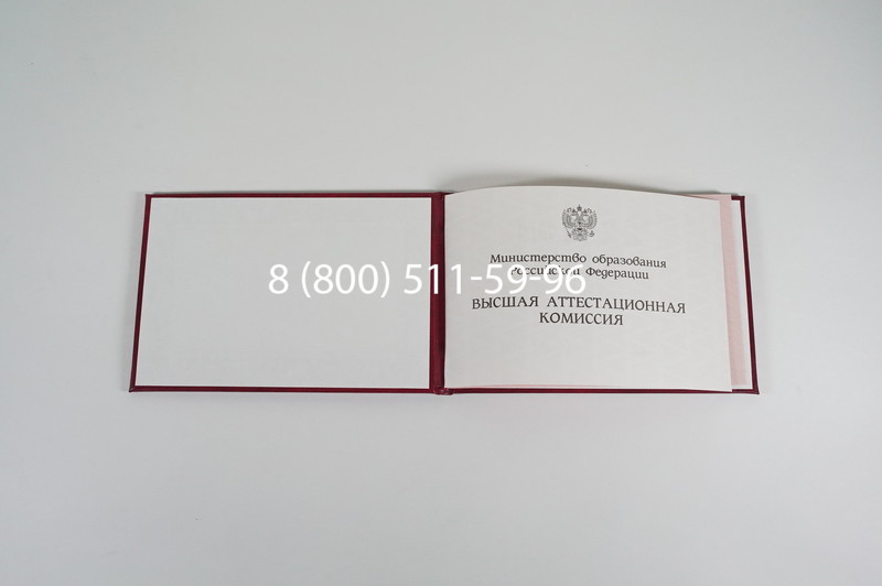 Диплом доктора наук 1995-2006 года в Муроме Диплом доктора наук 1995-2006 года в Муроме
