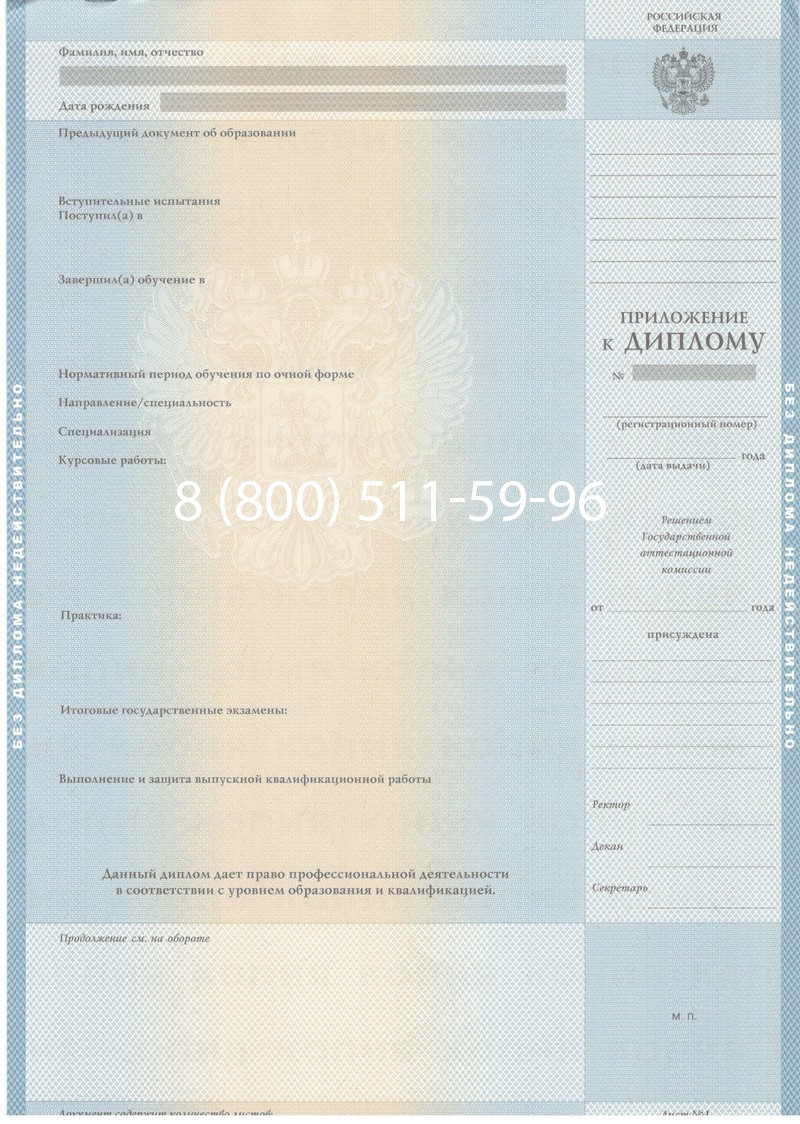 Заказать Диплом магистра 2003-2009 годов в Муроме Заказать Диплом магистра 2003-2009 годов в Муроме