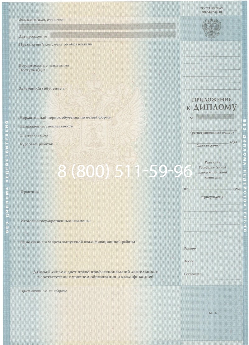 Заказать Диплом специалиста 2012-2013 годов в Муроме